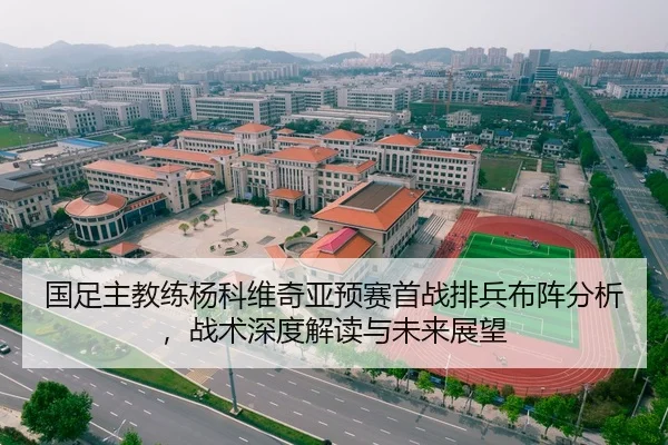 国足主教练杨科维奇亚预赛首战排兵布阵分析，战术深度解读与未来展望